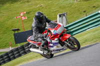 cadwell-no-limits-trackday;cadwell-park;cadwell-park-photographs;cadwell-trackday-photographs;enduro-digital-images;event-digital-images;eventdigitalimages;no-limits-trackdays;peter-wileman-photography;racing-digital-images;trackday-digital-images;trackday-photos